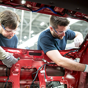 Automotive Industry Professionals